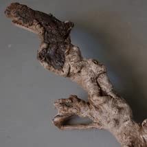 Amazon.co.jp: 01661 瘤杢 ワニのオブジェ 流木 古材 木製 置物 アート