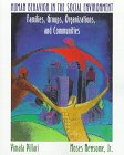 Human Behavior in the Social Environment: Families, Groups, Organizations, and Communities