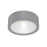 WAC Lighting FM-W2612-GH Tube 12' Outdoor LED Flush Mount, Large, White/Graphite