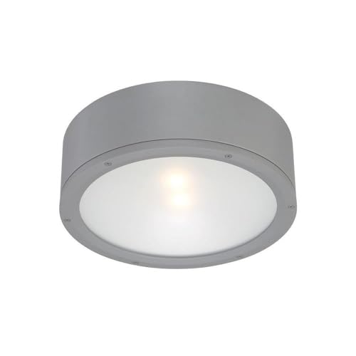 WAC Lighting FM-W2612-GH Tube 12" Outdoor LED Flush Mount, Large, White/Graphite