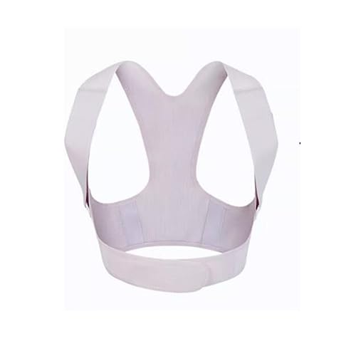 HKGFAYO ʂȃobNXgbvw̋Ă̍pLwh~A[eBt@Ng(XL)