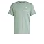 Silver Green / White