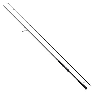 Amazon | ヤマガブランクス(YAMAGA Blanks) ロッド アーリー フォー