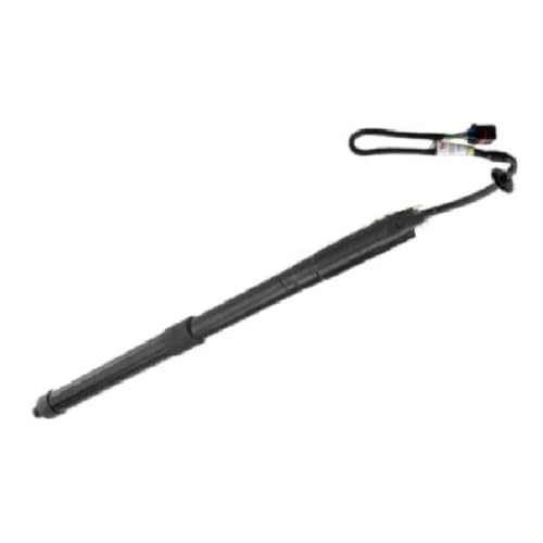 Jambes force hayon électrique pour Hyundai Santafe 2012-2018 avec levage fluide