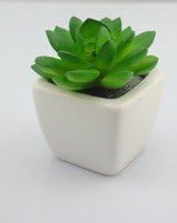 Iplant Artificial Like-real Plant Car and Multiple-used Ornament (Gem Flower)