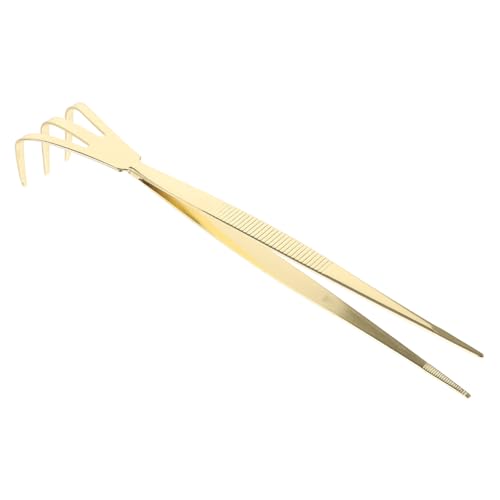 BESPORTBLE Professional Bonsai Tweezers Garden Rake Tool Stainless Steel for Bonsai Root Raking and Moss Organizing