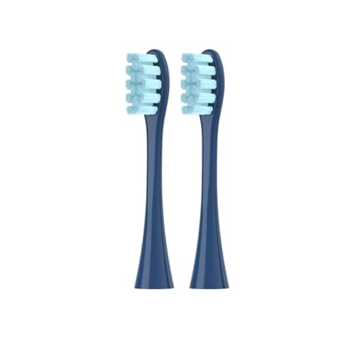 2-3 �����\�AOclean X/X PRO/Z1/F1 �u���V�w�b�h�ƌ݊����̂��鉹�g���u���V�u���V�^�󃊃t�B���m�Y���_�炩����(2Blue)