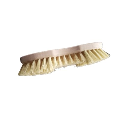 Starmann Brosse Ă lait en bois de hĂŞtre brut - Louche avec fibres de tapico - Manuel