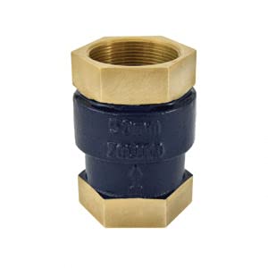2 Inch Non-Return Brass Check Valve