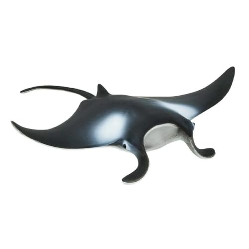 Figurita de Manta Raya | Figura realista de criatura marina de 4' | Juguetes para Niños | No tóxicas y Libres de BPA | Apto para Niños de 3+ | Safari Ltd