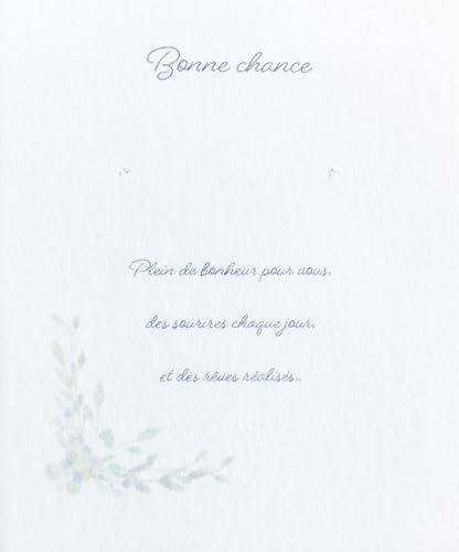 sAX䎆 ANZT[䎆 50 O[ 6×5Z`