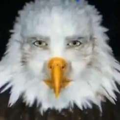 Factors that affect pricing