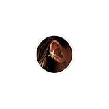 LKingel Gold Starfish Ear Clip Earrings for Women Starfish Shell Cuff Earrings Gold Ocean Beach Jewelry Starfish Shell Ear Clip Earrings Summer Beach Jewelry (Style4)