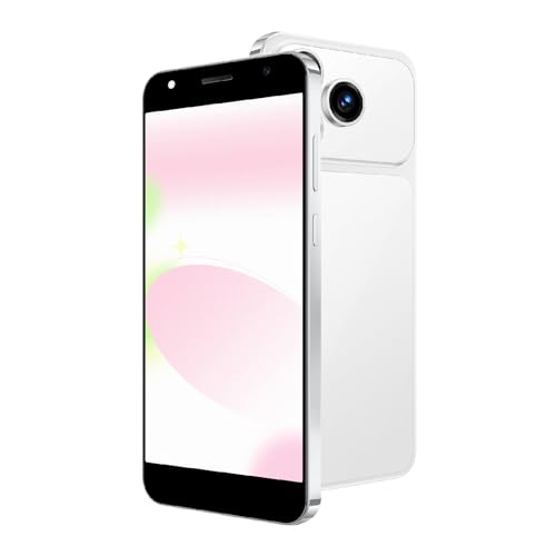 Téléphone portable 4G Double SIM idéal pour les voyages