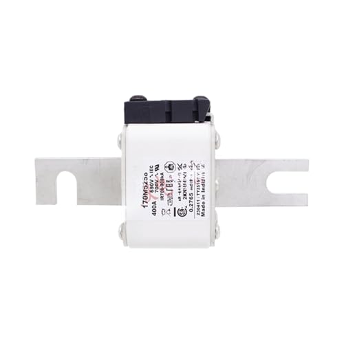 Fusible 170M5259 à pouvoir de coupure élevé pour disjoncteur