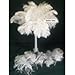Special 7 Day Sale-Ostrich Wholesale Bulk 13-16" long~Bleach White DELUXE Tail Feathers- 100 in package.