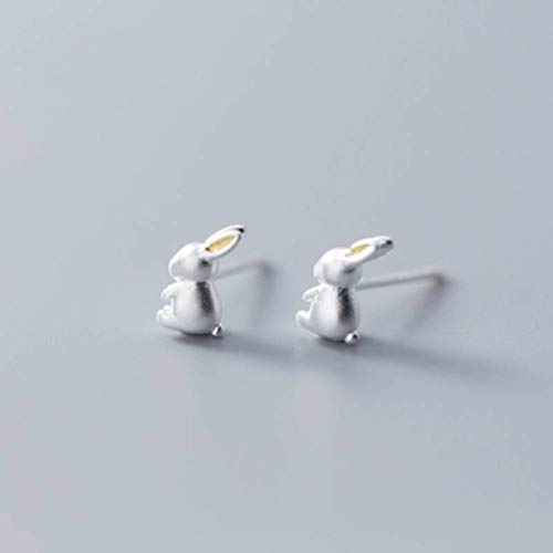 AISHFP Pendientes Niña, Pendientes de plata S925, pendientes pequeños de estilo coreano para mujer, pendientes blancos gratis, joyería de oreja de Animal de Temperamentos encantadores, pendientes de p