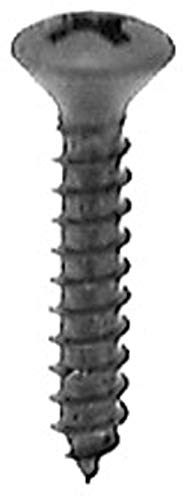 100 tornillos autorroscantes Phillips ovalados 3/4" miniatura 1