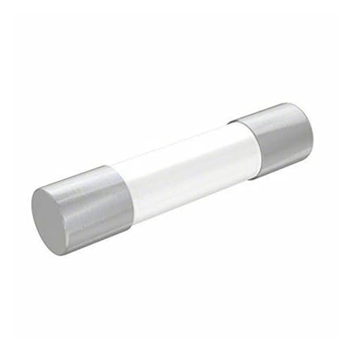 Fusible FWX-20A14F à action rapide 20A avec haut pouvoir de coupure 250V