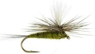 Feeder Creek Fly Fishing Flies - Blue Winged Olive BWO Trout & Bass Dry Flies Assortment Kit