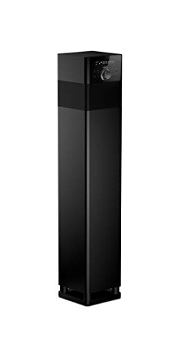 Philips Audio SPA9075B/94 Single Tower Speaker (Black)