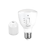 Luz LED de inundación con control remoto: esta lámpara recargable tiene 4 modos de luz, diseña fácilmente escenarios para su rutina diaria o actividades ajustando el brillo.