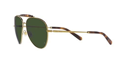 Brooks Brothers Mens BB4062 Aviator Sunglasses3