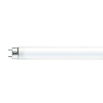 【未使用品】 25本　Hf 32W 3波長形 昼光色 蛍光灯 たのめーる】ホタルクス(NEC) Hf蛍光ランプ ライフルックHGX 32W