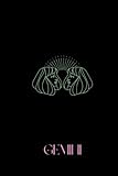 Zodiac Signs: Gemini Notebook: Journaling, Manifesting, Gratitude, Affirmations, Healing