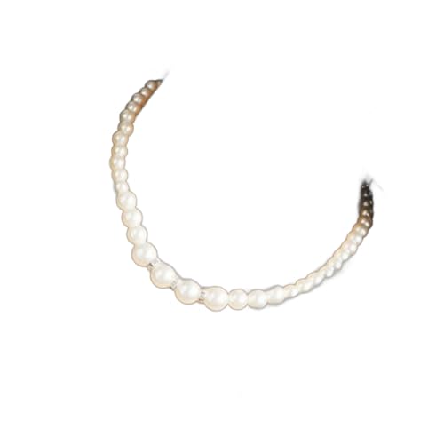 740 AWX^[ 嗱p[lbNX  EGfBO