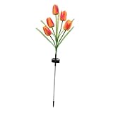 Décoration lumineuse extérieure de jardin - parfaite pour la cour, la pelouse, le patio, la cour, le jardin, la pelouse d'allée, la pelouse d'allée et bien plus , lumières tulipes d'extérieur
