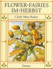flower fairies stoff Wunderschönes Feen Buch Flower Fairies. Im Herbst
