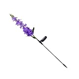 Lampe de paysage - la lumière est très pratique et peut diffuser de la lumière sur la pelouse, le jardin et d'autres endroits, garden flower light