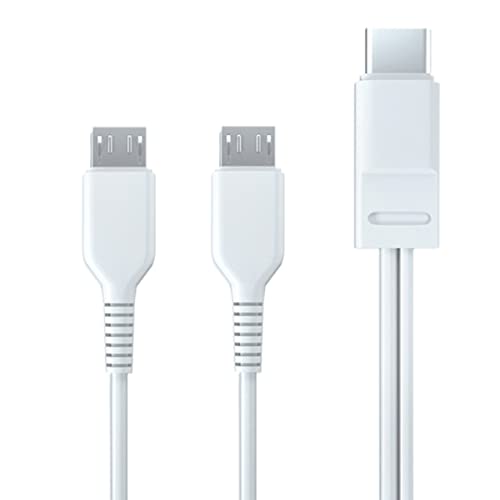 Amazon.co.jp: YSJJZRL 2 in 1 Type C to Type C + マイクロ充電