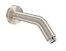 Bath Royale MB0714BN Shower Arm 180, Brushed Nickel