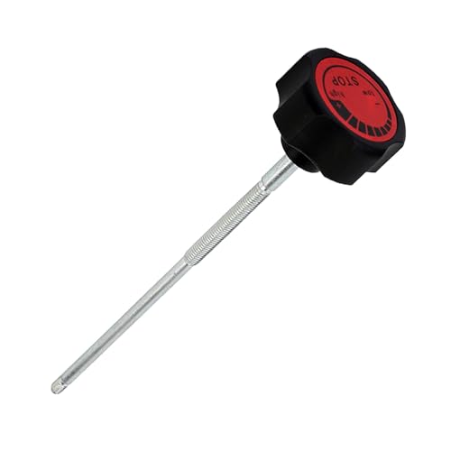 Nishiyuenyi GAoCNu[Lo[muu[Lmu\ȒRmuAZuoCNi, 