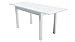 ADGO Kevin - Mesa de comedor extensible 120/160 x 70 x 77 cm, mesa rectangular ampliable con 4 patas para familia, mesa de comedor, mesa familiar, mesa de cocina, mesa de comedor (blanco)