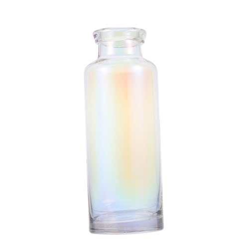 Jarrón de cristal para hidroponía Hemobllo, el obsequio ideal de decoración 2
