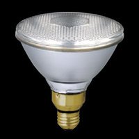 Amazon | 東芝 ビームランプ E26 散光形（フラッド） 100W形