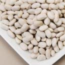 Great Northern Beans 25 Pounds - Columbia Bean Brand