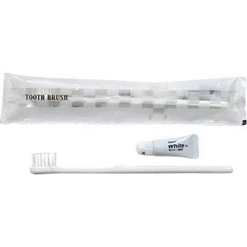山陽物産 100本入 業務用 使い捨て歯ブラシ+歯みがき粉 個包装 日本製 ホテルアメニティ (100本)