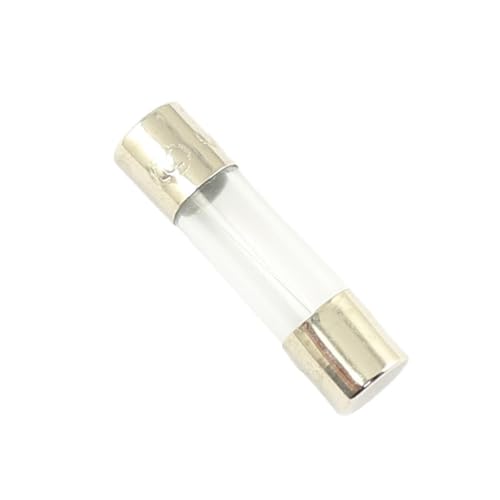 Fusible tube en verre rapide 250V idéal pour réparer vos équipements de cuisine en panne