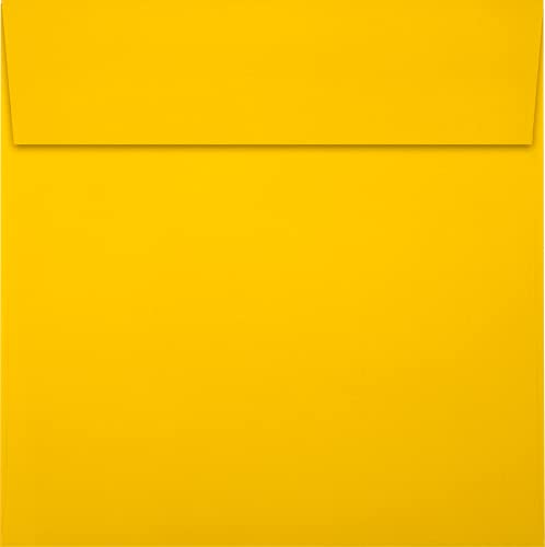 LUXPaper Square Invitation Envelopes | Peel & Press | 6 1/2