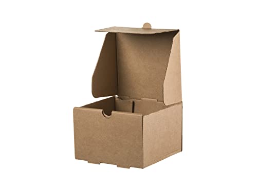 Tessera Bio Products Q131386KFSC Kraftpapier Foodbox, Quadrat, Einzelnburger, FSC Zertifiziert, Naturfarbe, 13cm Länge, 13cm Breite, 8.6cm Höhe, 100 pcs