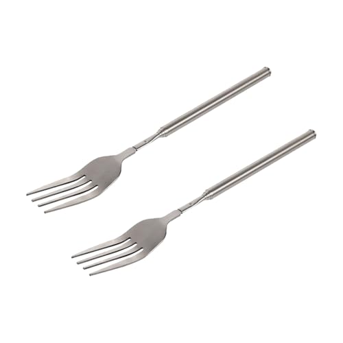 LannuMet 2pcs Extendable Fork Stainless Steel Telescopic Forks Extendable Dinner Fruit Dessert Fork 9~25in