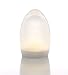 Produktbild Imagilights DJOBIE Collection Romée LED Tischlampe, 24 Farben mit Farbwechsel, Kerzenmodi, Höhe ca. 15 cm, Durchmesser ca. 10 cm, Ei-förmig, kabellos, mit Akku, inklusive Ladegerät, wasserdicht, stoßfest