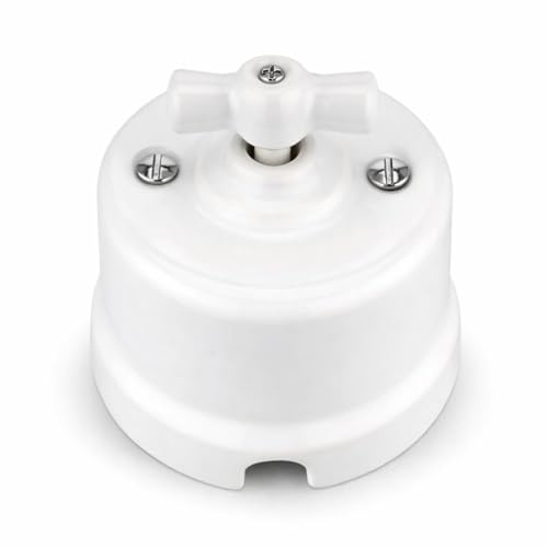 Porcellana Retro Rotary, interruttore, interruttore di commutazione, tutto in uno, serie QR1 bianco