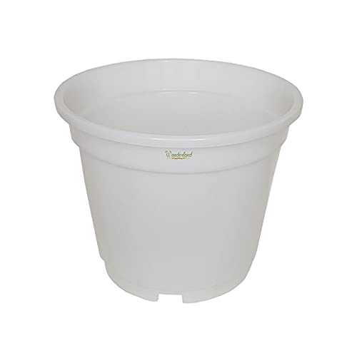 Image of Wonderland 8 inch Set of 3 Big Planter (Plastic Pots for Home Plants) (White)