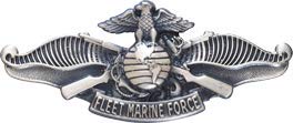 Badge Navy Fleet Marine Force FMF, Oxyde d'argent. – vue 2