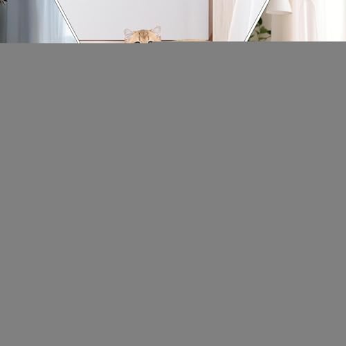 Túnel para gatos de interior con diseño plegable y resistente 5